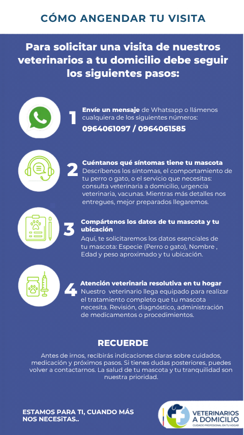 Infografia explicativa paso 1 y 2 para agendar consulta o urgencia veterinaria a domicilio por Whatsapp en Concepcion