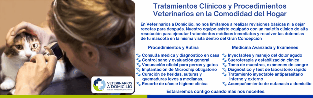 Infografía de tratamientos médicos, procedimientos veterinarios, vacunas y urgencias a domicilio en Concepción y el Biobío