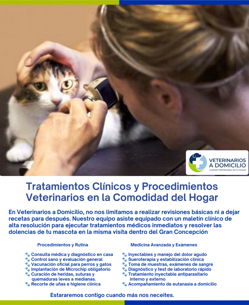 Infografía de tratamientos médicos, procedimientos veterinarios, vacunas y urgencias a domicilio en Concepción y el Biobío