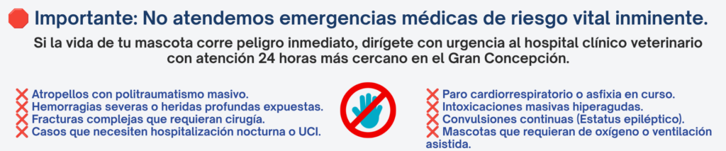 Aviso aclaratorio de emergencias médicas de riesgo vital no cubiertas por el servicio de veterinarios a domicilio en el Gran Concepción
