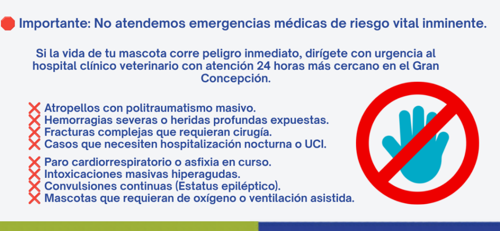 Infografía de tratamientos médicos, procedimientos veterinarios, vacunas y urgencias a domicilio en Concepción y el Biobío