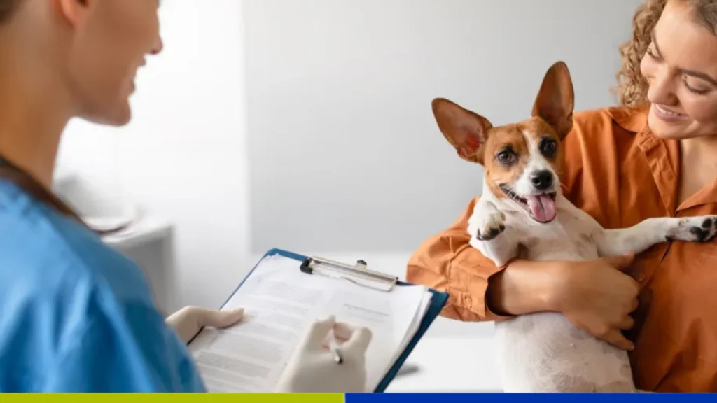Listado de tarifas y precios de consulta veterinaria a domicilio y vacunas en Concepción y el Biobío