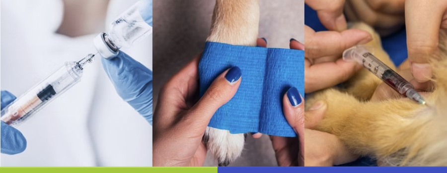 Mosaico con procedimientos veterinarios a domicilio que incluye preparacion de jeringa vendaje de pata y aplicacion de medicamento inyectable.
